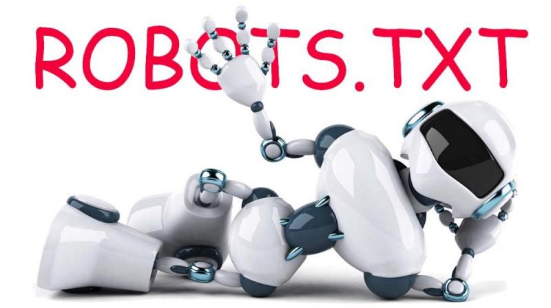 Что такое robots.txt и зачем он нужен в Хабаровске